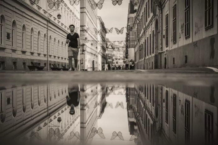 Tomici, Alexandru: Reflexionen