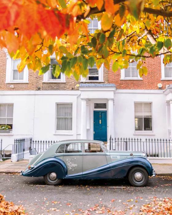 Estefan, Gabor: Vintage Herbst