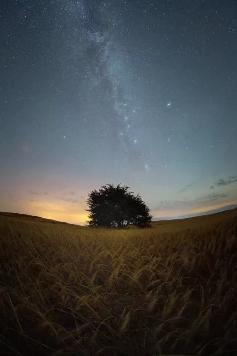Babaei, Hosein: Sussurro di stelle