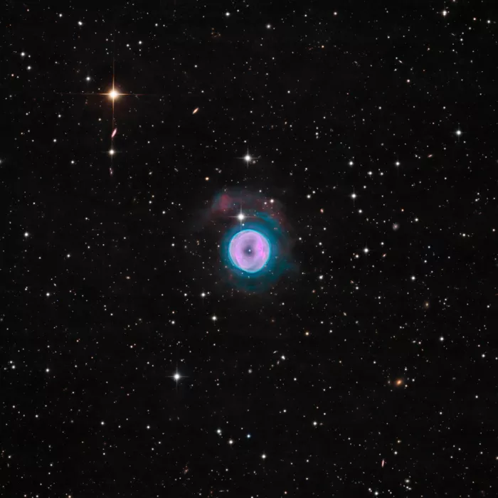 Chander, Vikas: La Nebulosa dello Pneumatico di Ricambio