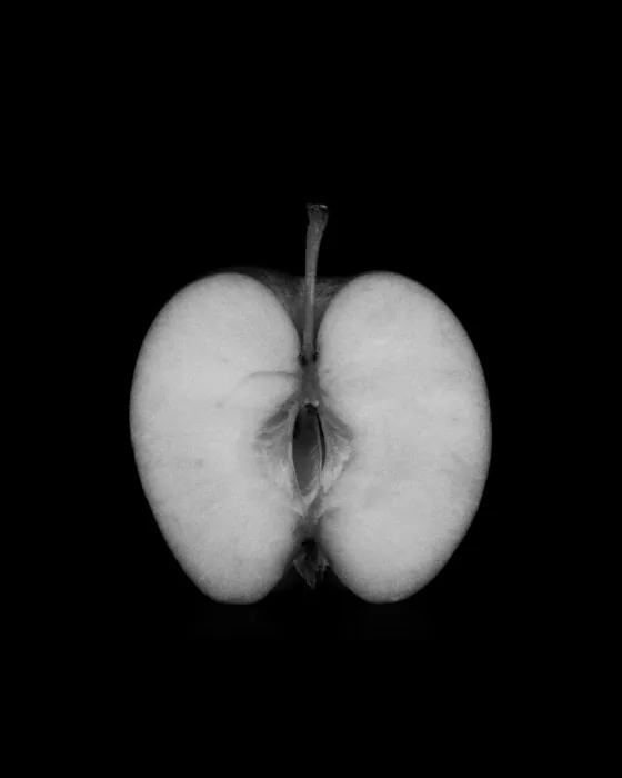 Colligan, Lynann: Cœur monochrome
