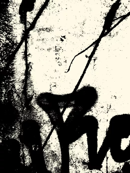 Strnad, Petr: Líneas texturadas y formas audaces