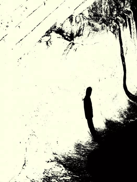 Strnad, Petr: Silencio Sombreado