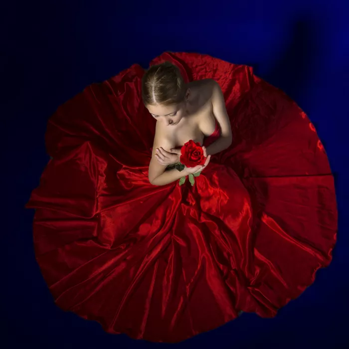 Onofras, Ionel: La rondelle rose