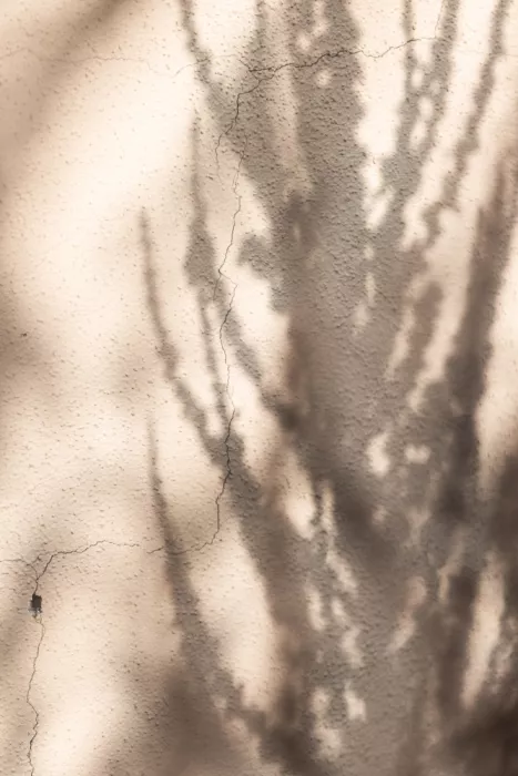 Böhmer, Mareike: Sombras de verano 7