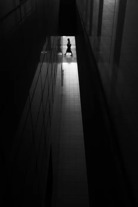 ISHIKAWA, HISASHI: Silhouetta