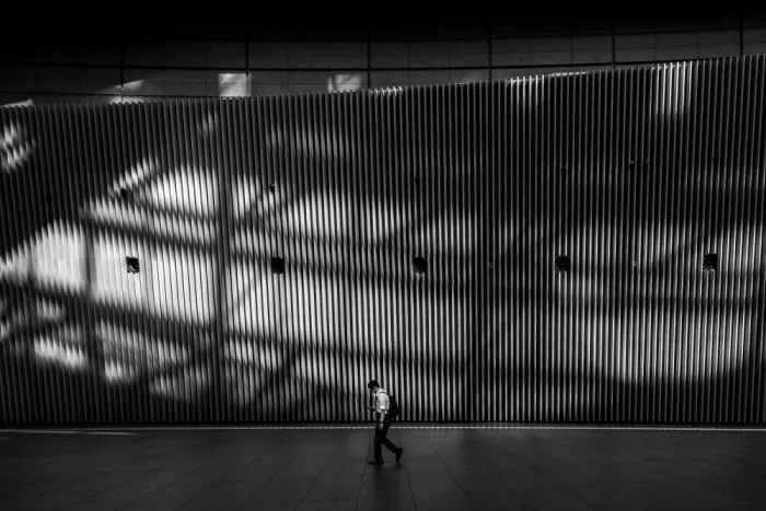Yamamoto, Eiji: Lumière et ombre sur le mur