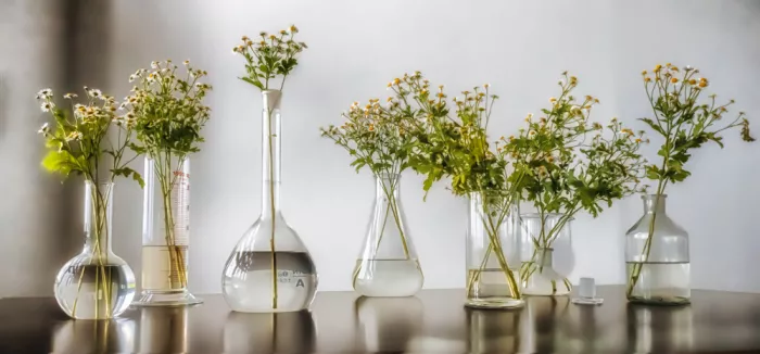 Hieke, Heinz: Laboratorio