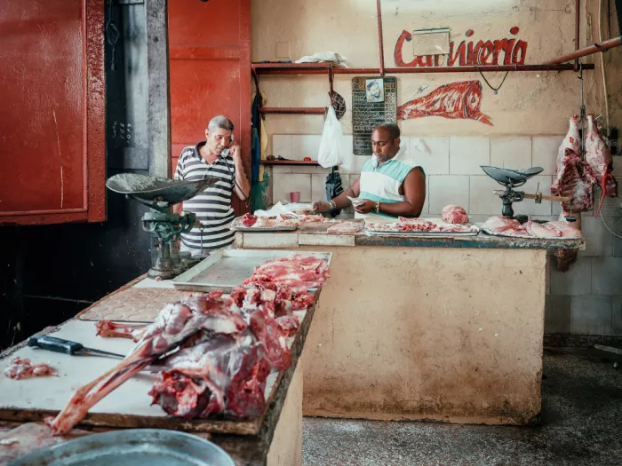 Bauer, Andy: Fleisch