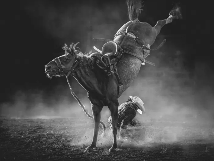 Ma, Frank: Wer gewinnt?