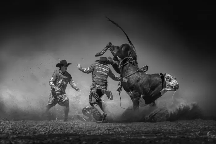Wu, Irene: Rodeo Indomito