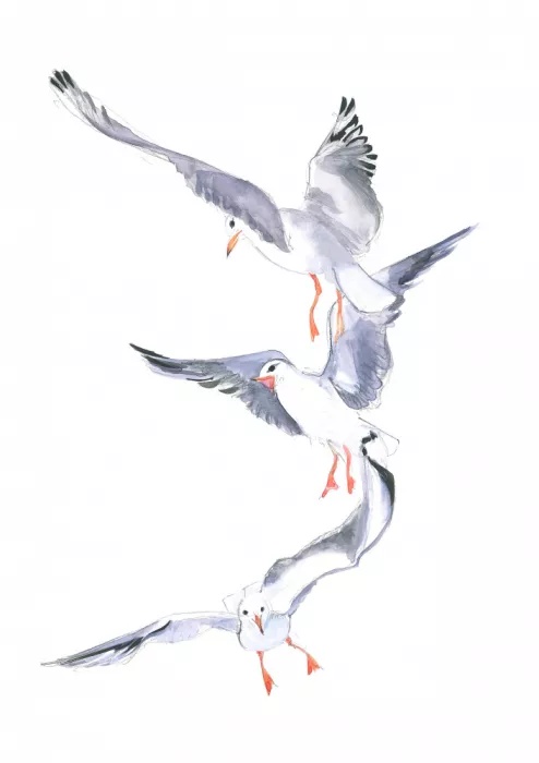 Brent, Isabelle: Let seagullu