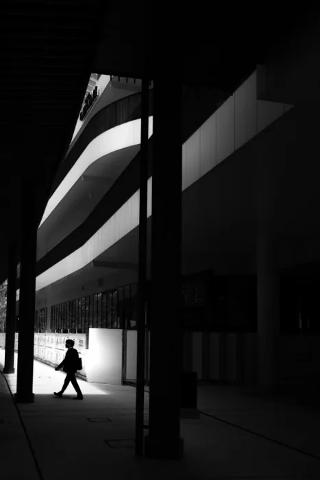 ISHIKAWA, HISASHI: Silhouetta