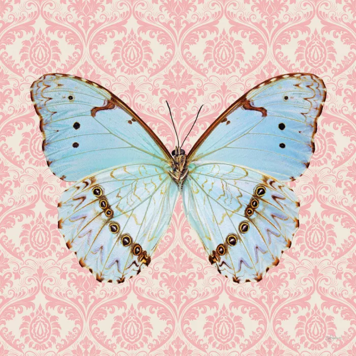 Skellern, Sue: Pretty Butterfly #2