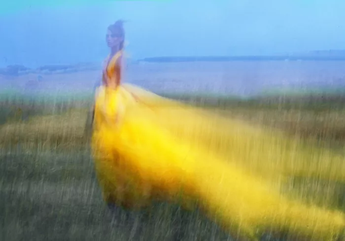 Pansky, Rachel: Ohne Titel