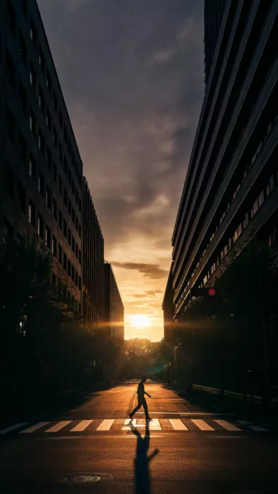 Fujii, Yuzo: Hibiya Tokyo