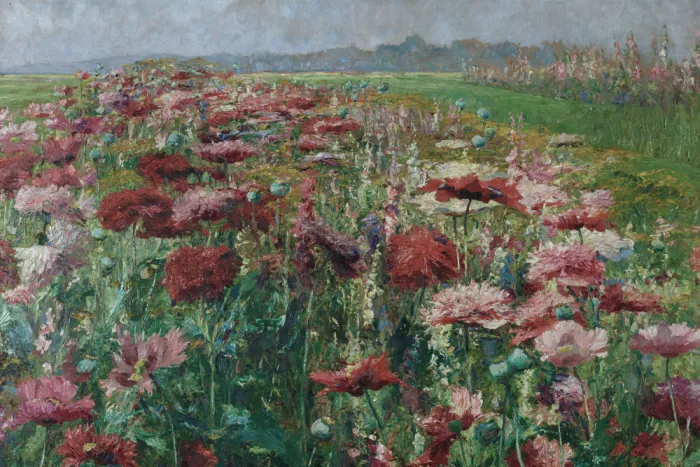 Concept, Art The: Champ de fleurs à l