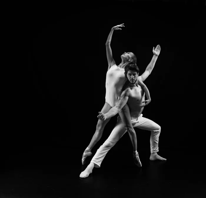 Stein, Tali: Duetto