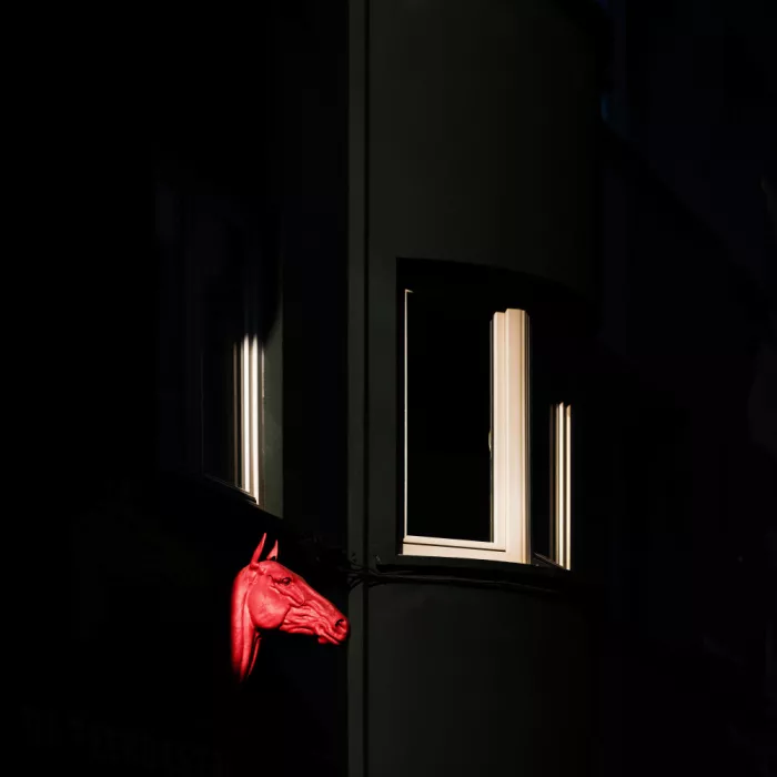 Endermann, Rolf: Cheval rouge