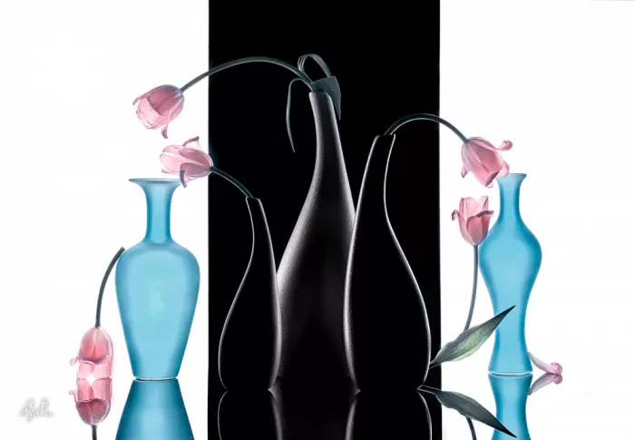 Jacobs, Lydia: Bellezza elegante