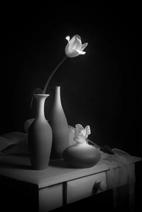 Jacobs, Lydia: Dvě tulipány