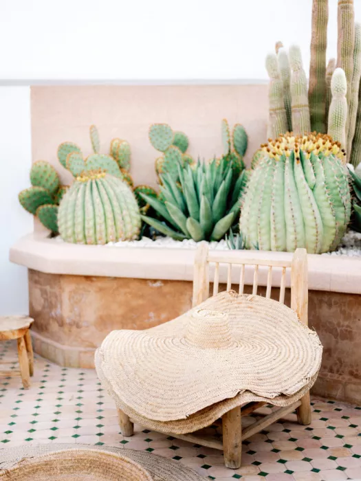 Zwart, Raisa: Détails de Marrakech | Photographie de voyage au Maroc