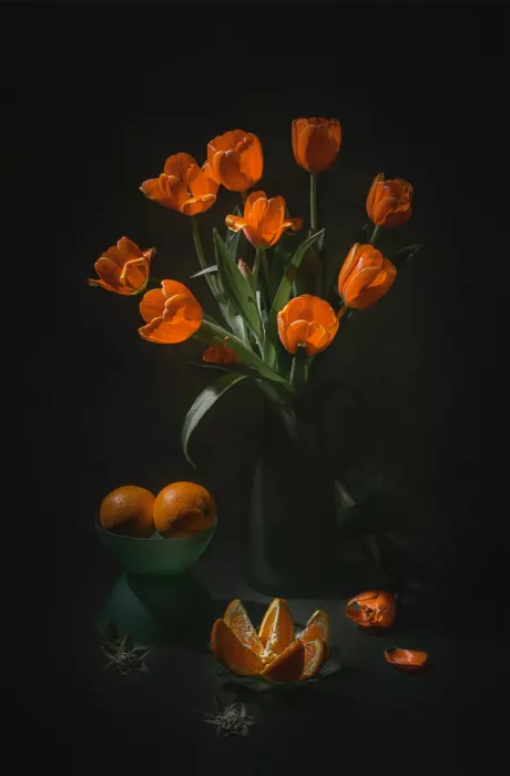 Jacobs, Lydia: Oranžová a tulipány