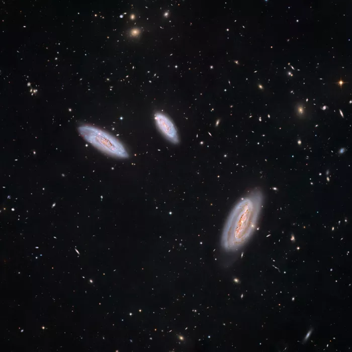 Chander, Vikas: Galaxie v Jeřábu
