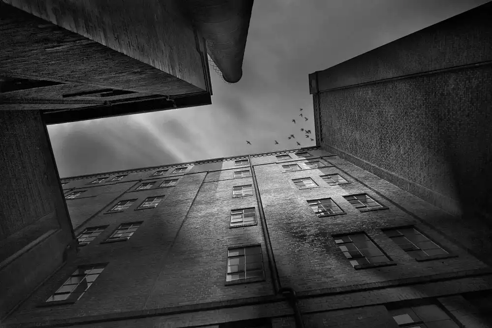 Droste, Holger: Město stínů