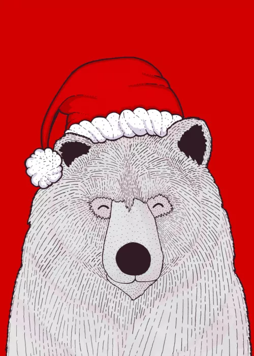 Wade, Stephen: Červený medvěd Santa