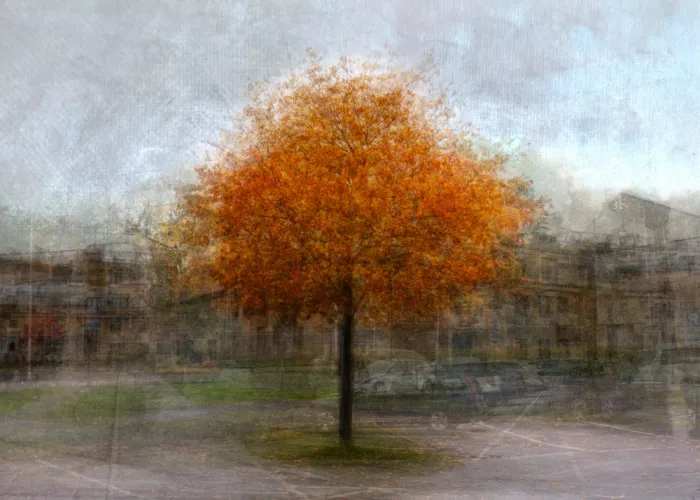 Holmström, Katarina: Ohne Titel