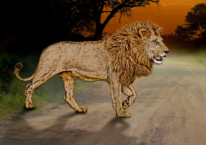 Kaminski, Carlo: Lion, roi des bêtes