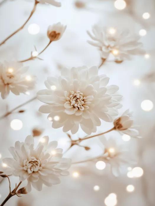 Treechild: Fiori eterei
