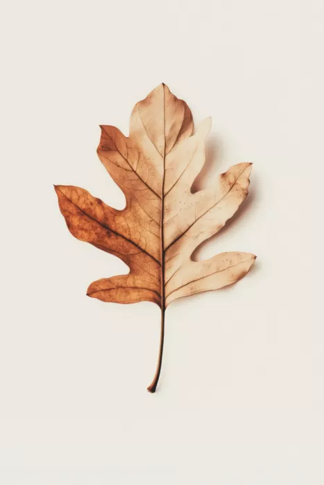 Treechild: Podzimní šepot