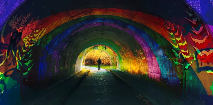 Gong, Yanyan: Visione tunnel