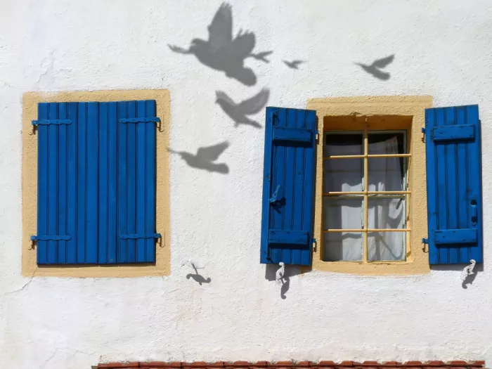 Pizzocaro, Giorgio: Schatten an der Wand