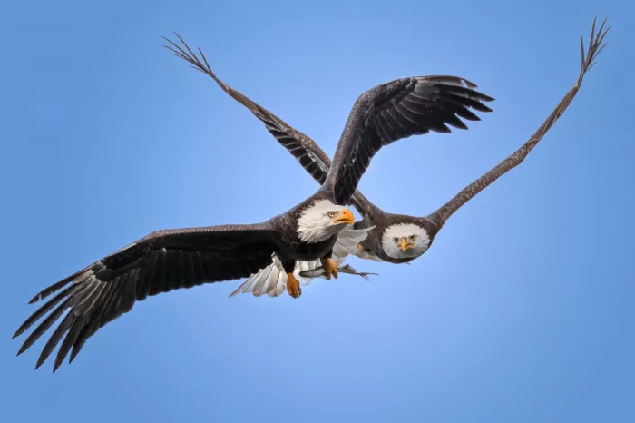 P., Ruiqing: Inseguimento nel cielo