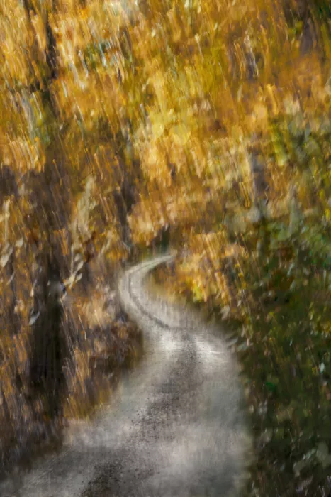Sillen, Christina: Golden Trail