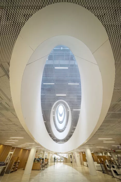 Bardají, L. Rafael: Skylight