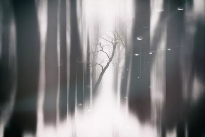 Lee, van Hilda: Senza titolo