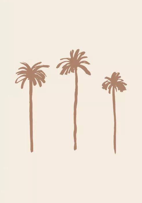 Pictufy: Palms