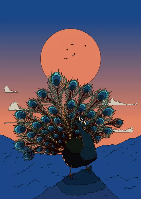Nicholas: Peacock At Sunset