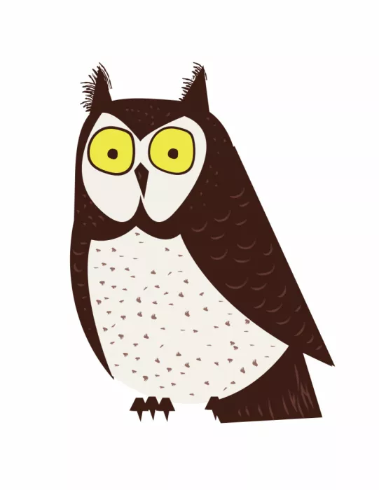Nicholas: Stylized Cartoon Owl