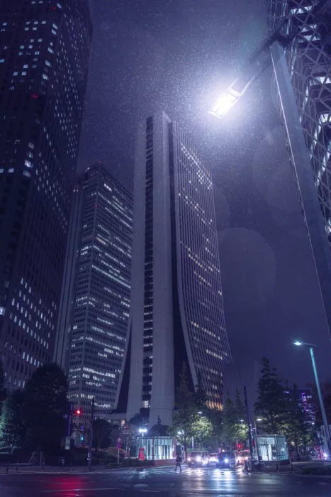 YusukeMatsumoto: Shinjuku notte piovosa 1