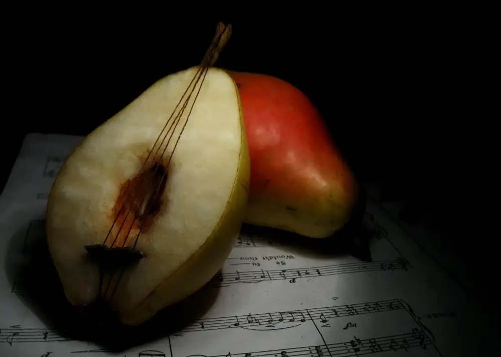 Basa, Emine: nature morte