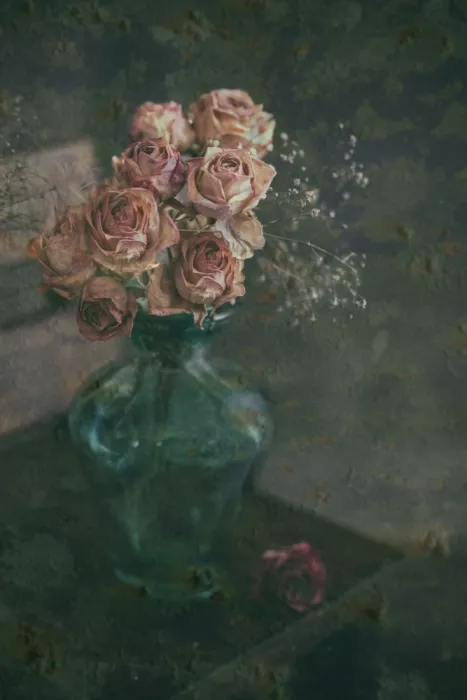 Hirai, Takiko: Roses