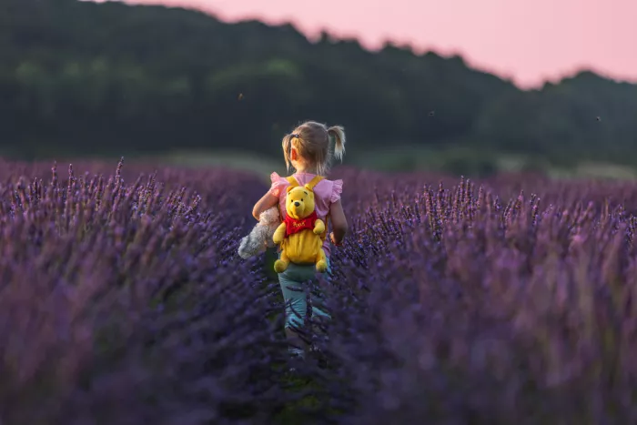 Stepanov, Dmitry: Winnie the Pooh Reise im Lavendelmeер ;)
