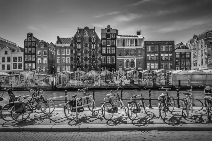 Viola, Melanie: AMSTERDAM Singel mit Blumenmarkt
