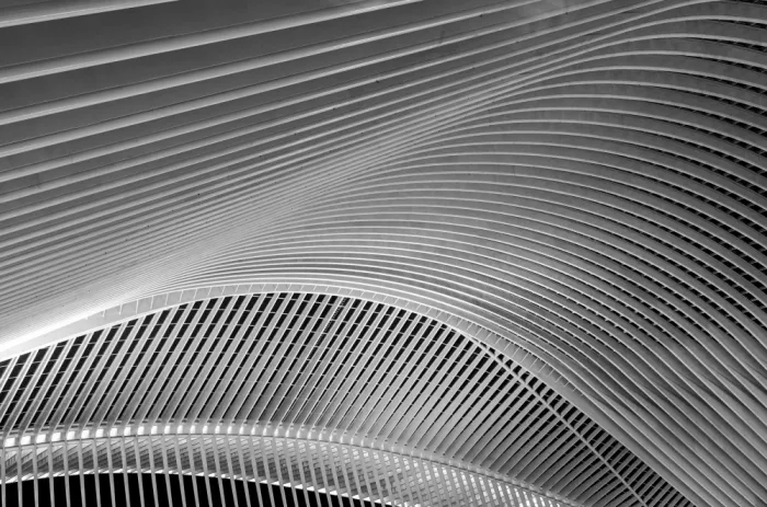 Scheunders, Jan: guillemins station 2