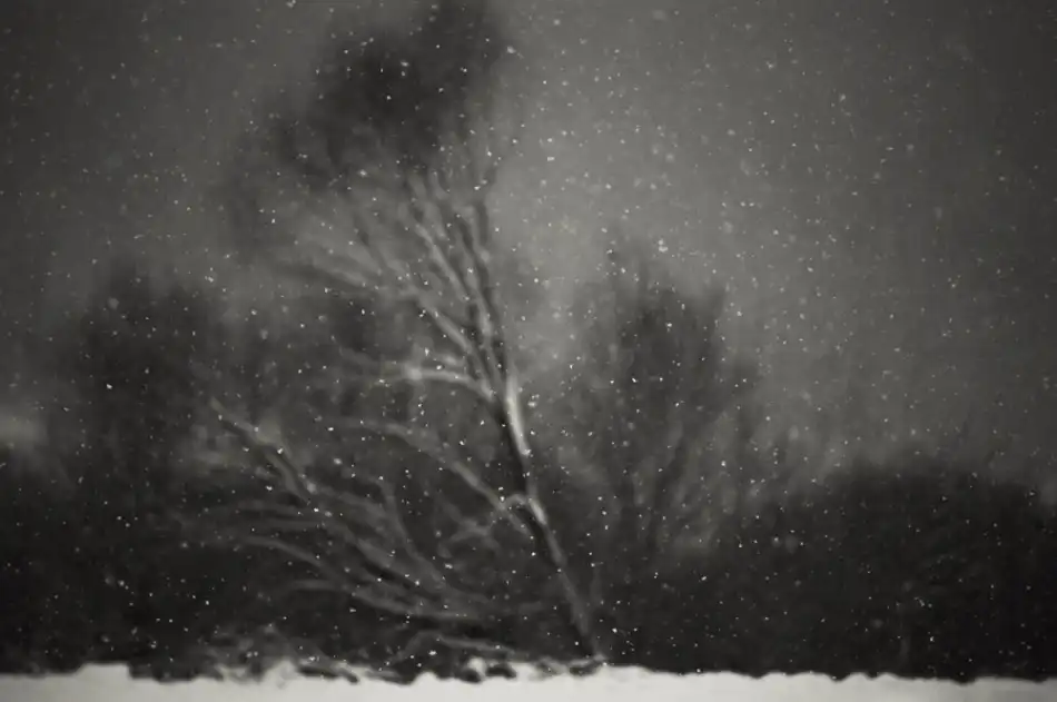 PhotoCosma: Zima
